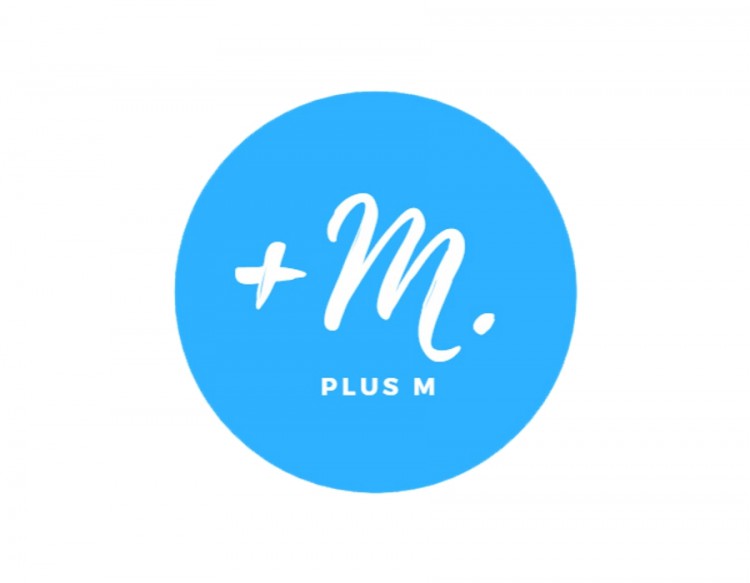 Projekt logo dla firmy PlusM wykończenia wnętrz